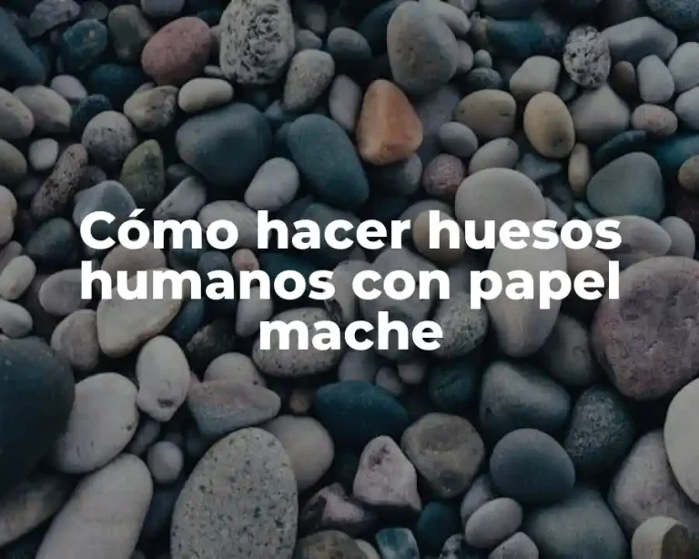Cómo hacer huesos humanos con papel mache