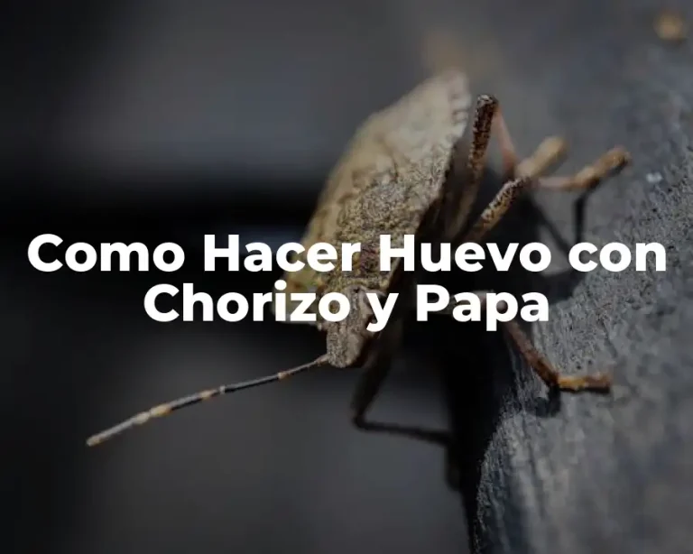 Como Hacer Huevo con Chorizo y Papa