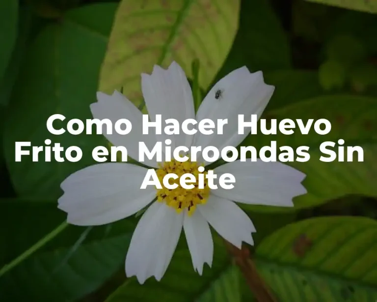Como Hacer Huevo Frito en Microondas Sin Aceite