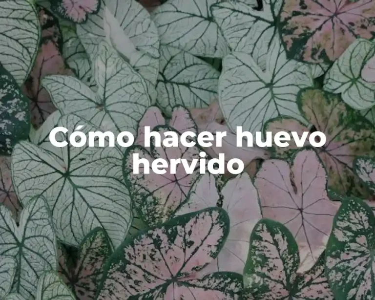 Cómo hacer huevo hervido