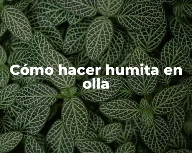 Cómo hacer humita en olla