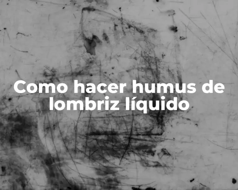 Como hacer humus de lombriz líquido