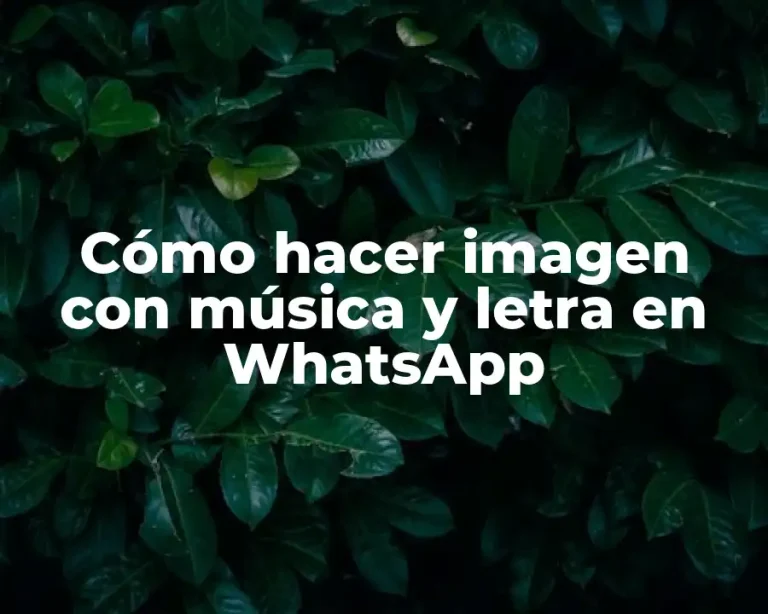 Cómo hacer imagen con música y letra en WhatsApp