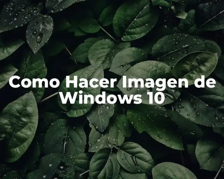 Como Hacer Imagen de Windows 10