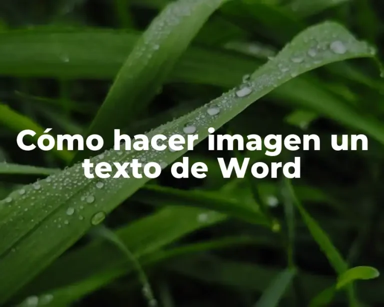 Cómo hacer imagen un texto de Word