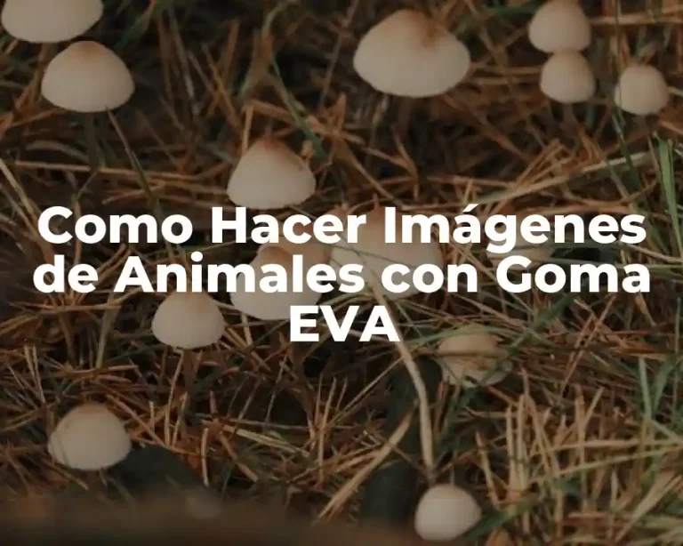 Como Hacer Imágenes de Animales con Goma EVA