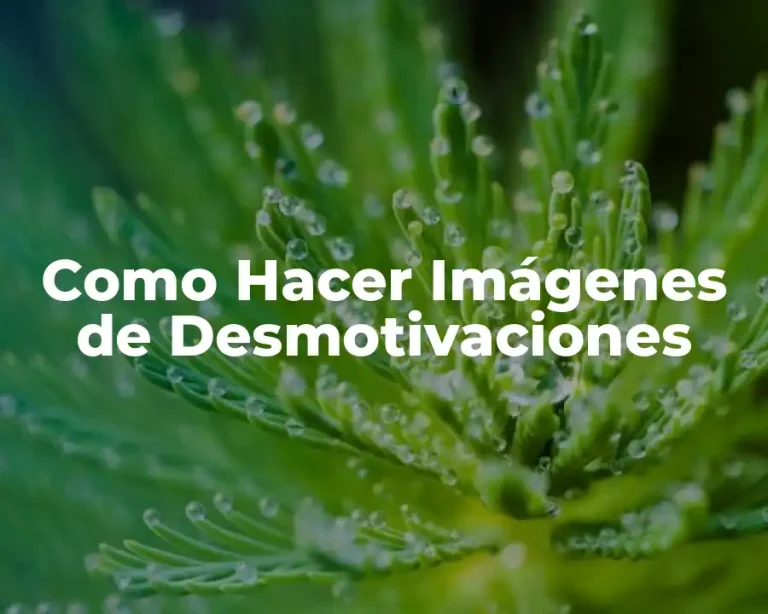 Como Hacer Imágenes de Desmotivaciones