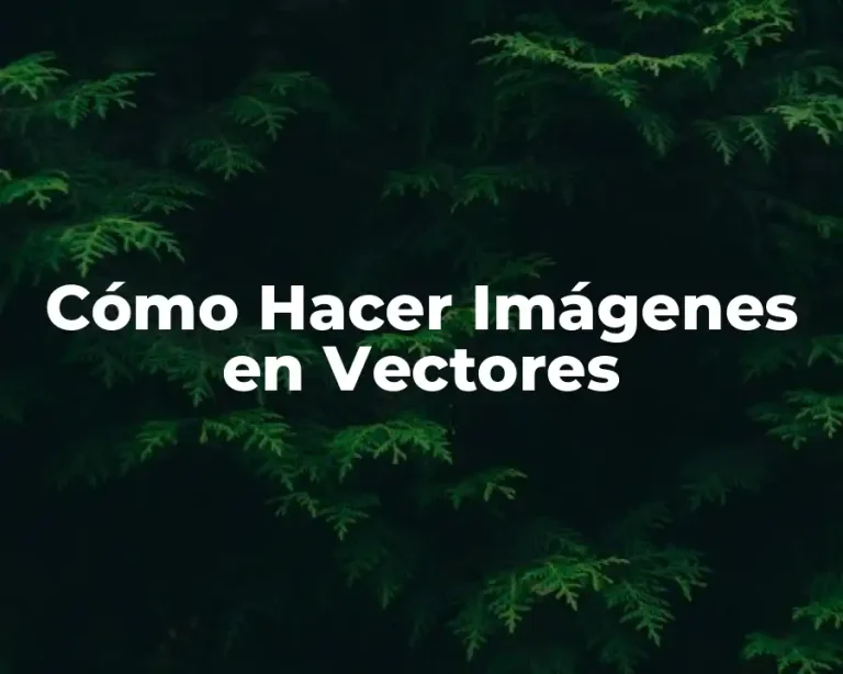 Cómo Hacer Imágenes en Vectores