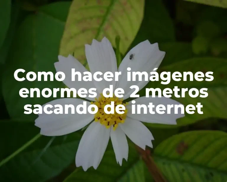 Como hacer imágenes enormes de 2 metros sacando de internet