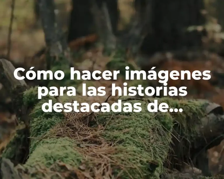 Cómo hacer imágenes para las historias destacadas de Instagram
