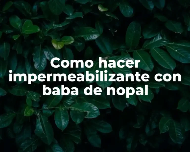Como hacer impermeabilizante con baba de nopal