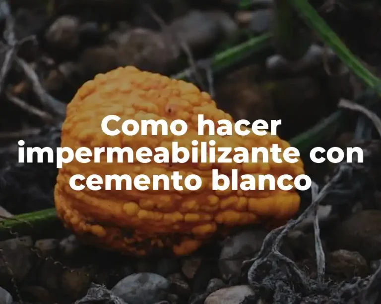 Como hacer impermeabilizante con cemento blanco