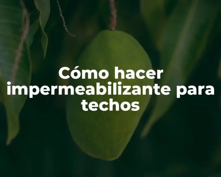 Cómo hacer impermeabilizante para techos