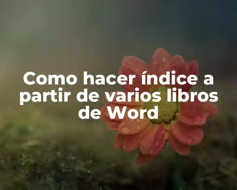 Como hacer índice a partir de varios libros de Word