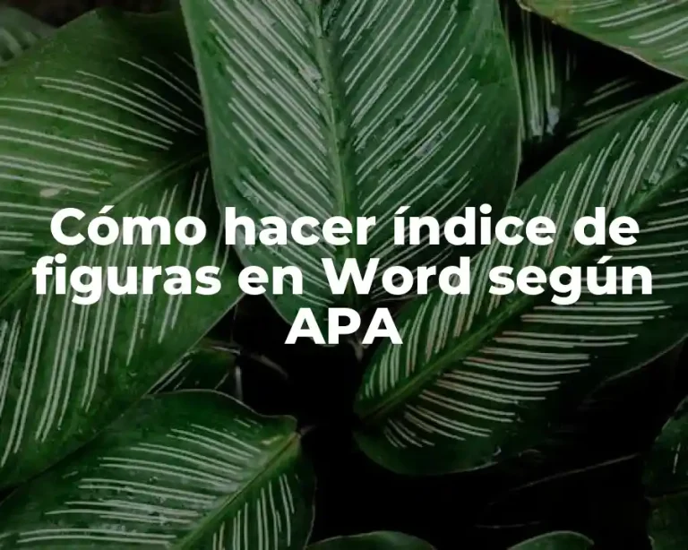 Cómo hacer índice de figuras en Word según APA