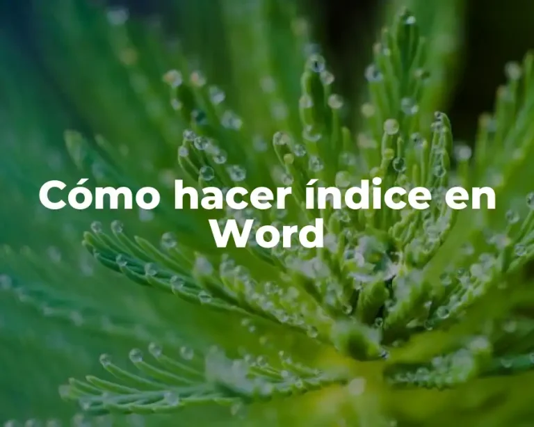 Cómo hacer índice en Word