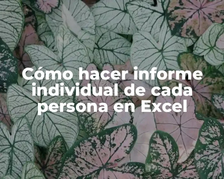 Cómo hacer informe individual de cada persona en Excel