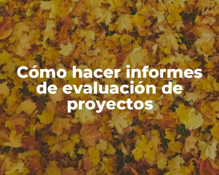 Cómo hacer informes de evaluación de proyectos