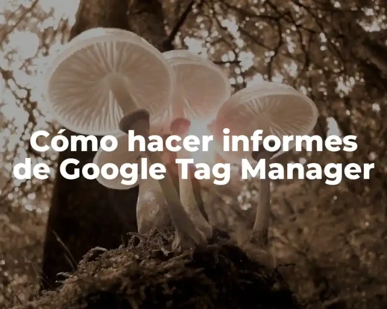 Cómo hacer informes de Google Tag Manager