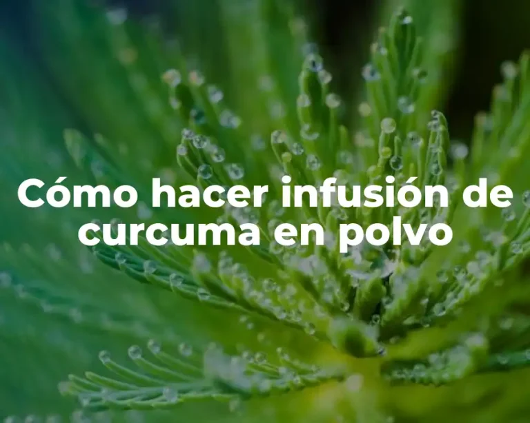 Cómo hacer infusión de curcuma en polvo