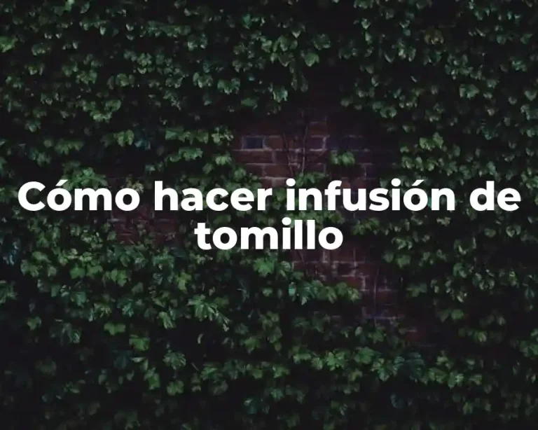 Cómo hacer infusión de tomillo