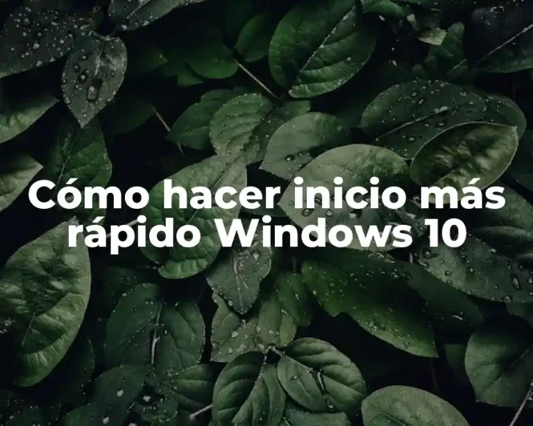 Cómo hacer inicio más rápido Windows 10