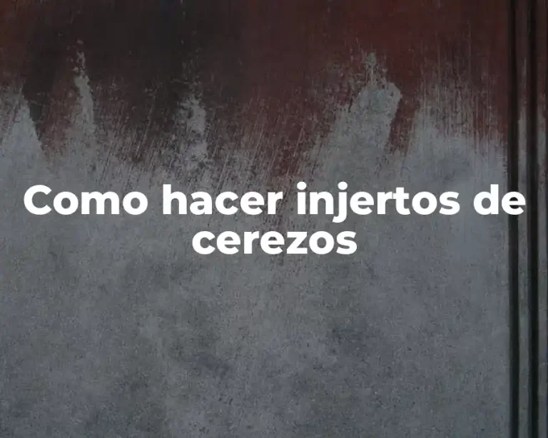 Como hacer injertos de cerezos