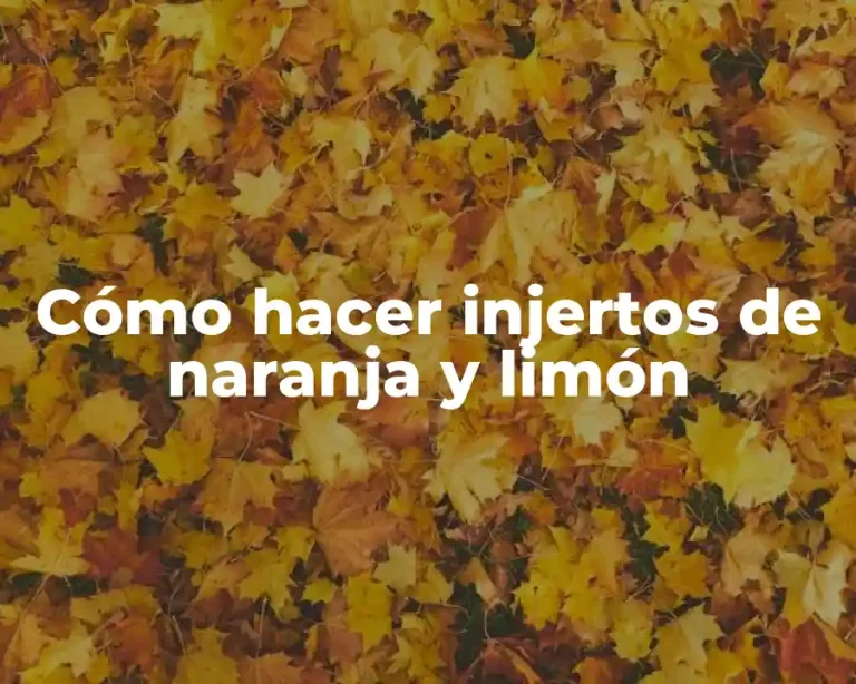 Cómo hacer injertos de naranja y limón