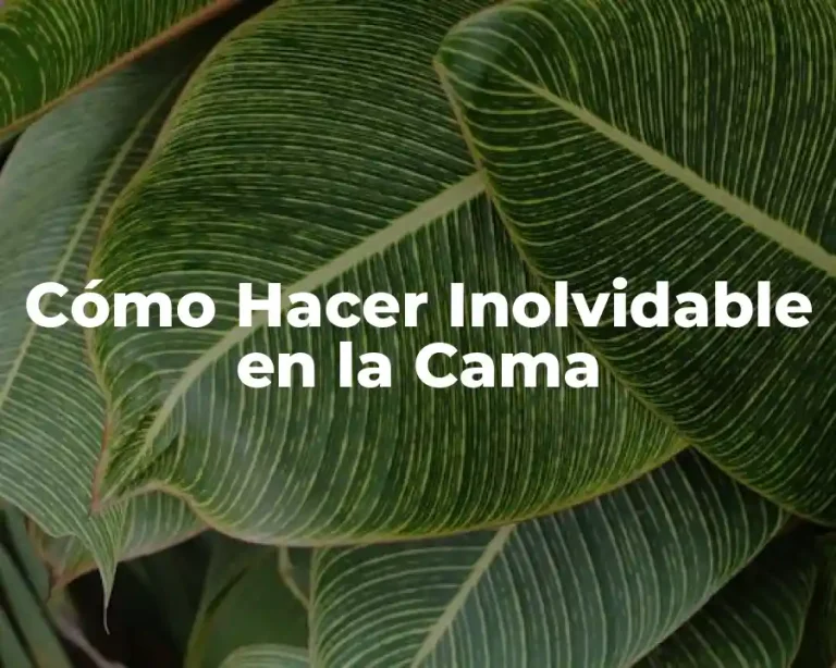 Cómo Hacer Inolvidable en la Cama