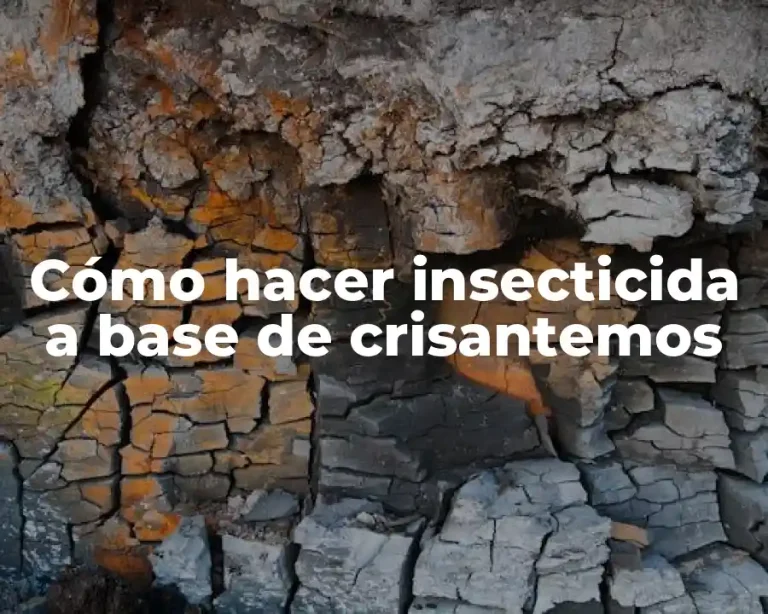 Cómo hacer insecticida a base de crisantemos