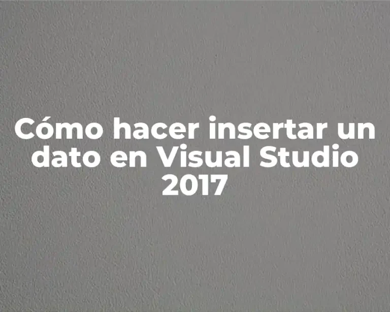 Cómo hacer insertar un dato en Visual Studio 2017