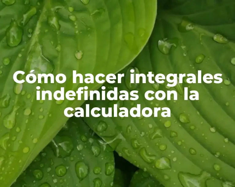 Cómo hacer integrales indefinidas con la calculadora