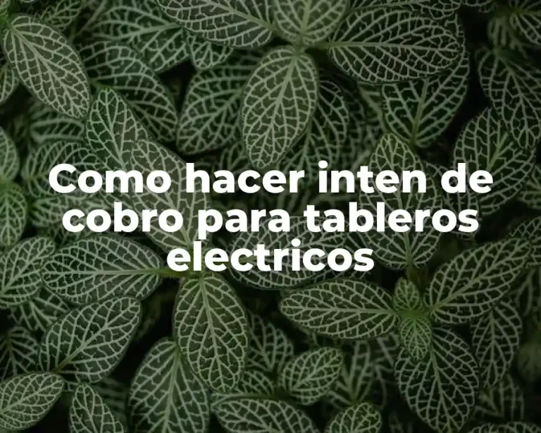 Como hacer inten de cobro para tableros electricos