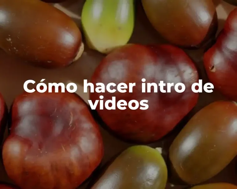 Cómo hacer intro de videos