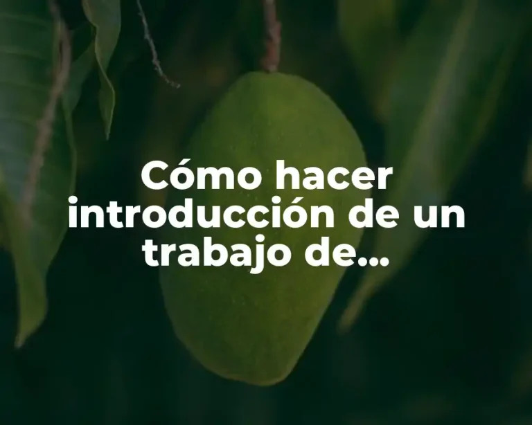 Cómo hacer introducción de un trabajo de investigación