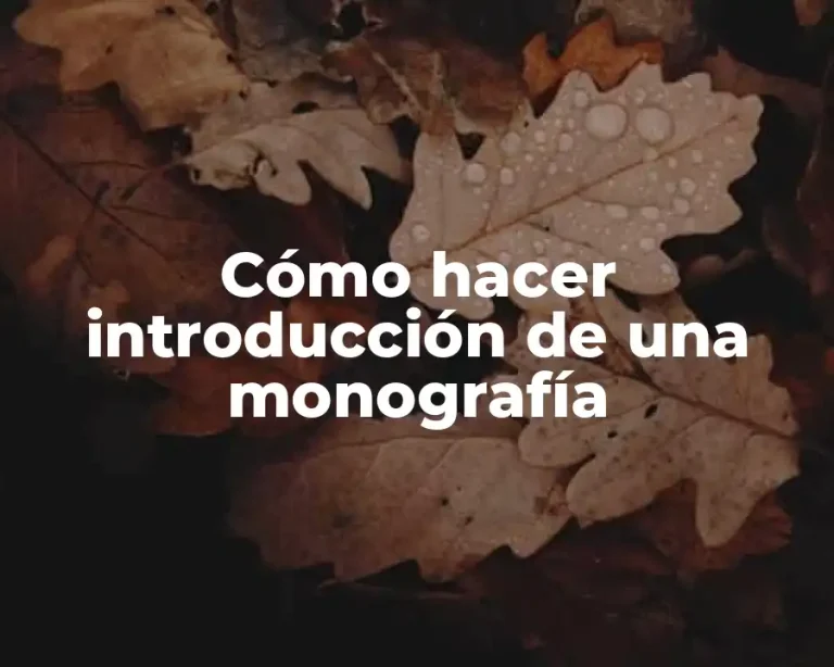 Cómo hacer introducción de una monografía