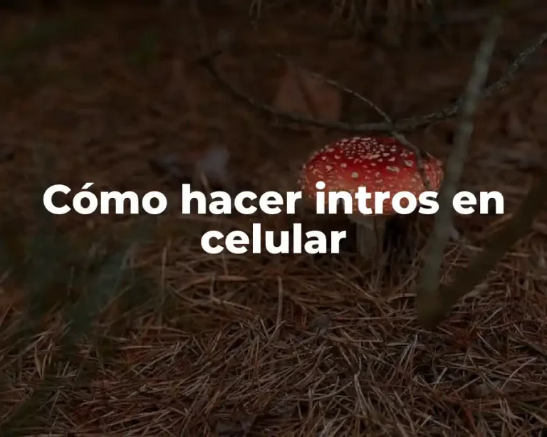 Cómo hacer intros en celular