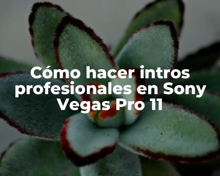 Cómo hacer intros profesionales en Sony Vegas Pro 11