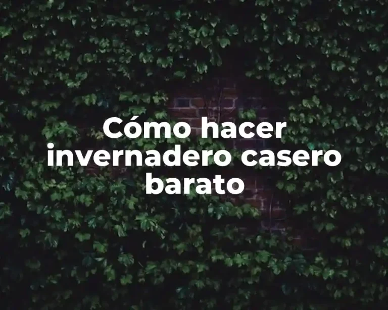 Cómo hacer invernadero casero barato