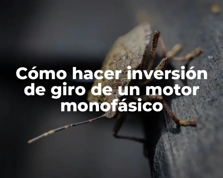 Cómo hacer inversión de giro de un motor monofásico