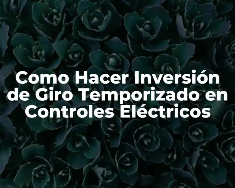 Como Hacer Inversión de Giro Temporizado en Controles Eléctricos