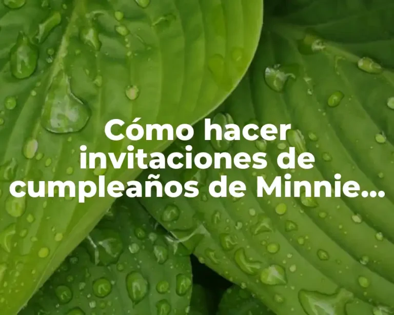 Cómo hacer invitaciones de cumpleaños de Minnie Mouse