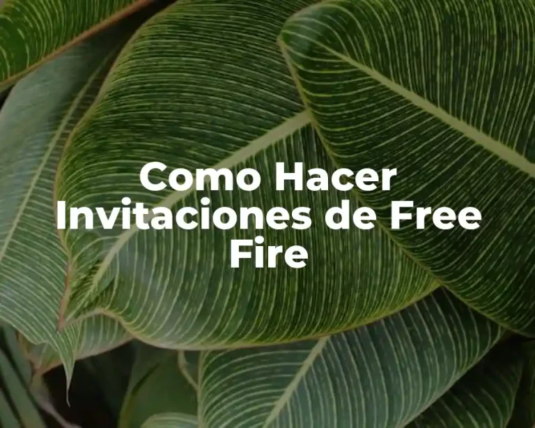 Como Hacer Invitaciones de Free Fire