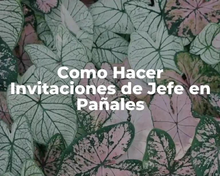 Como Hacer Invitaciones de Jefe en Pañales