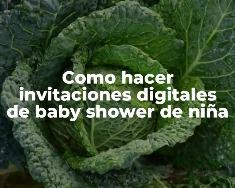 Como hacer invitaciones digitales de baby shower de niña
