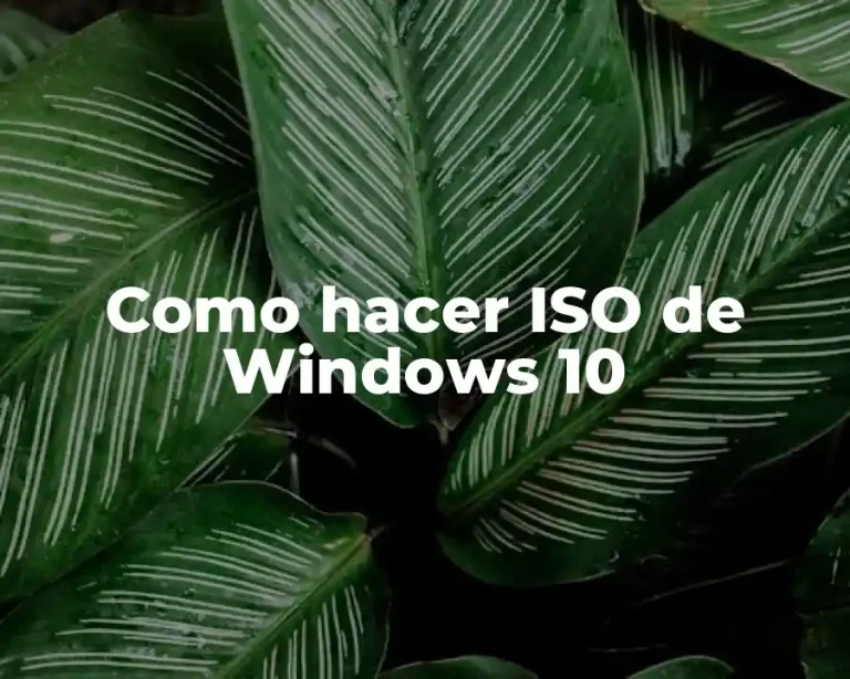 Como hacer ISO de Windows 10