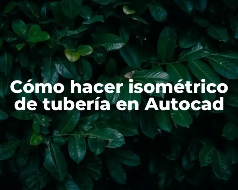Cómo hacer isométrico de tubería en Autocad