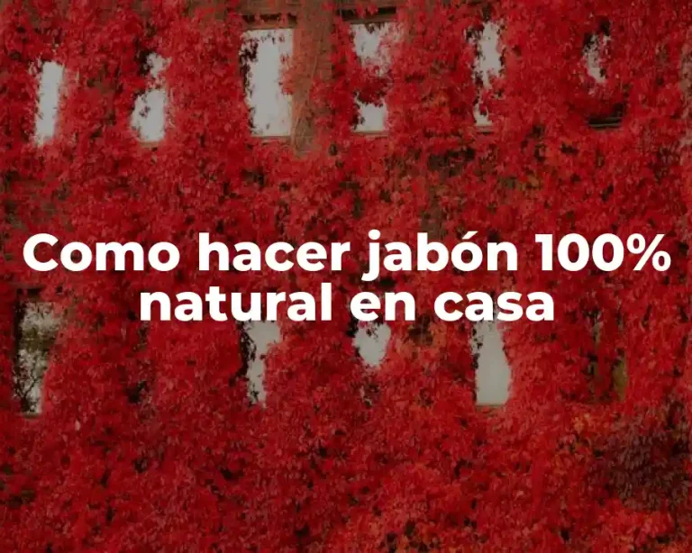 Como hacer jabón 100% natural en casa