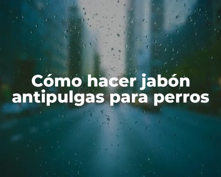 Cómo hacer jabón antipulgas para perros
