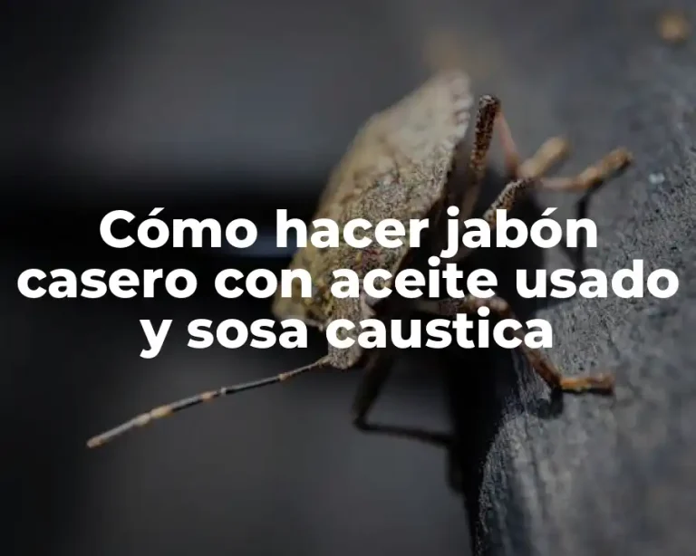 Cómo hacer jabón casero con aceite usado y sosa caustica